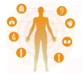 生物領(lǐng)域最難的56個(gè)問題 一場(chǎng)深度探尋生命奧秘的挑戰(zhàn)